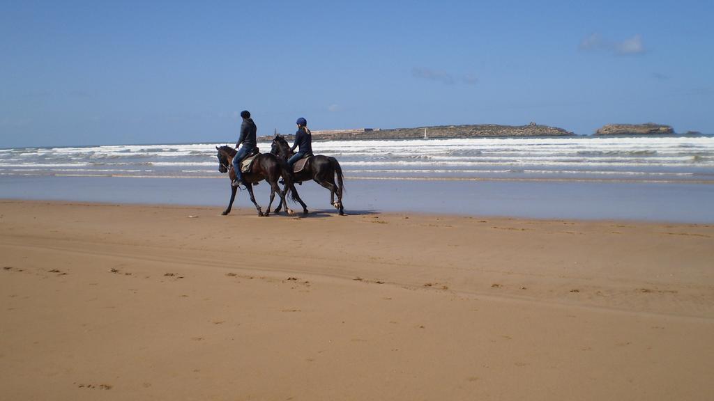 Dar Darek Hotell Essaouira Eksteriør bilde